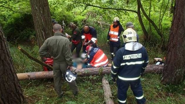 S těžkým zraněním byl leteckou záchrannou službou do nemocnice převezen muž, na kterého v lese mezi Oldřichovem a Trnovou spadl strom.