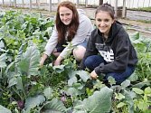 VÝPĚSTKY školních skleníků představily při Dnech školní zahrady také studentky Aneta Szerencsesová (vpravo) a Kristýna Kormošová.