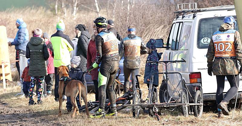 Psí spřežení závodila ve Stříbře na blátivé i štěrkové trati