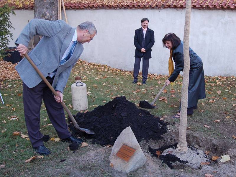 Slavnostního ukončení kampaně Tachov město stromů, které se konalo na zámku a v kulturním sále Mže se zúčastnilo několik desítek lidí.