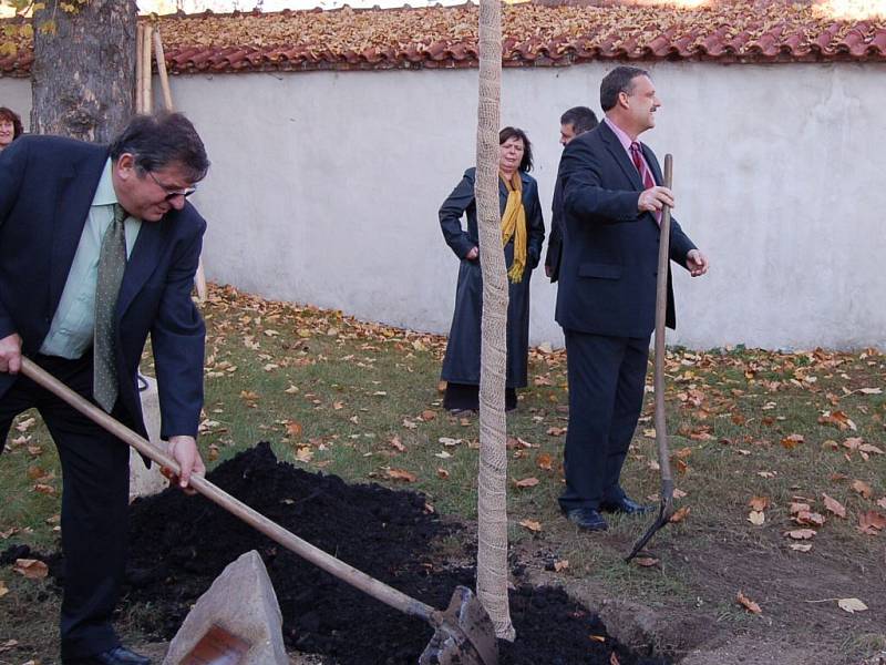 Slavnostního ukončení kampaně Tachov město stromů, které se konalo na zámku a v kulturním sále Mže se zúčastnilo několik desítek lidí.