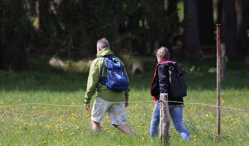 Vzpomínkového pochodu Lidických žen se na Tachovsku v sobotu účastnilo na padesát zájemců o turistiku a historii konce druhé světové války.