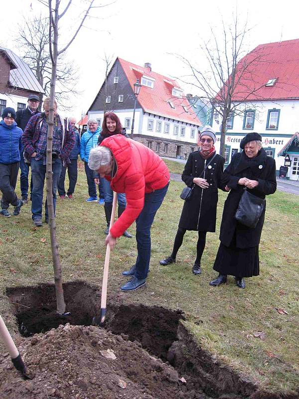 Slavnostní vysazování stromu pro Olgu Havlovou na Božím Daru.