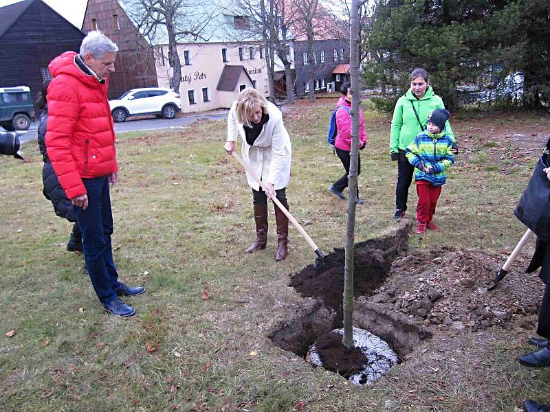 Slavnostní vysazování stromu pro Olgu Havlovou na Božím Daru.