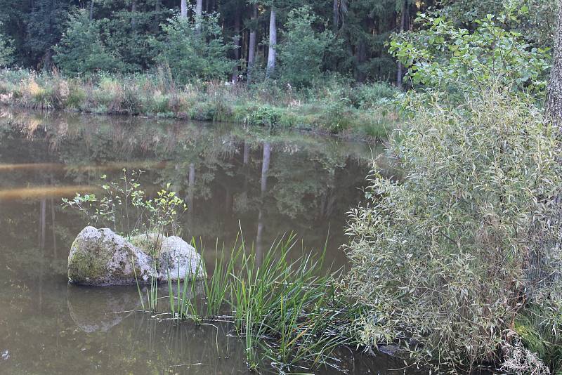 U Čertova mlýna nedaleko Stráže vybudoval Robert Vašíček čtyři rybníky. Černobílý snímek z knihy Cestami krajánků (se svolením autora knihy Zdeňka Procházky) ukazuje podobu mlýna v 50. letech 20. století.
