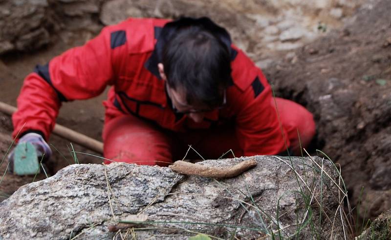 V úterý nalezli archeologové v místě šibenice tuto část lidského žebra (na snímku v popředí).