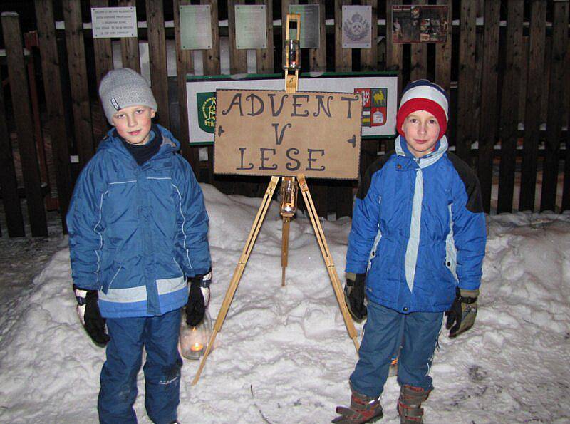 Cesta na Ronšperk byla značená svíčkami, které ji lemovaly. Advent v lese měl nejvyšší účast od svého počátku.