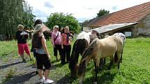 Spousty lidí lákala i jízda na koních.