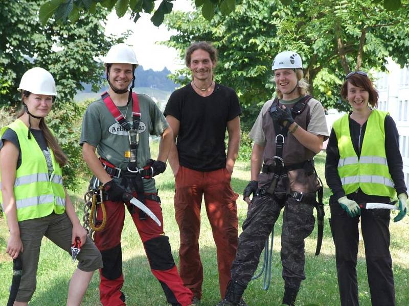 Arboristé ošetřovali stromy