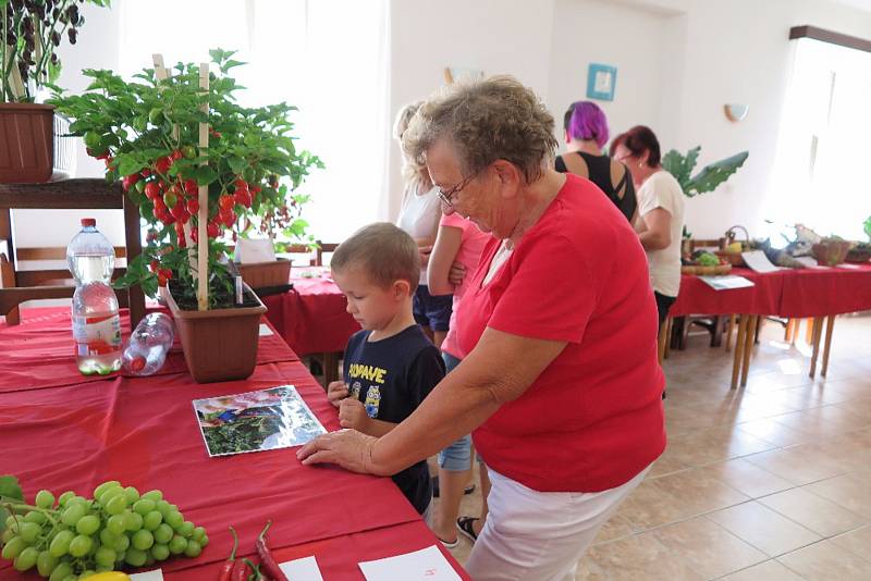 OSMNÁCT VYSTAVOVATELŮ se přihlásilo v Sulislavi do soutěže o nejlepší výpěstky domácích zahrádkářů