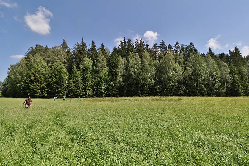 Z pozorování motýlů a dalších živožichů na loukách u Svaté Kateřiny.