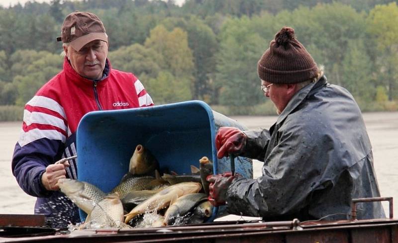 Sytno je bez ryb, na řadě je Regent