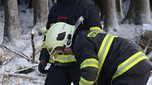 Tachovští hasiči odstranili větrem pokácený strom na silnici mezi Lesnou a Starou Knížecí Hutí.