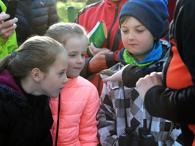 V Knížecí aleji vítali lidé ptačí zpěv