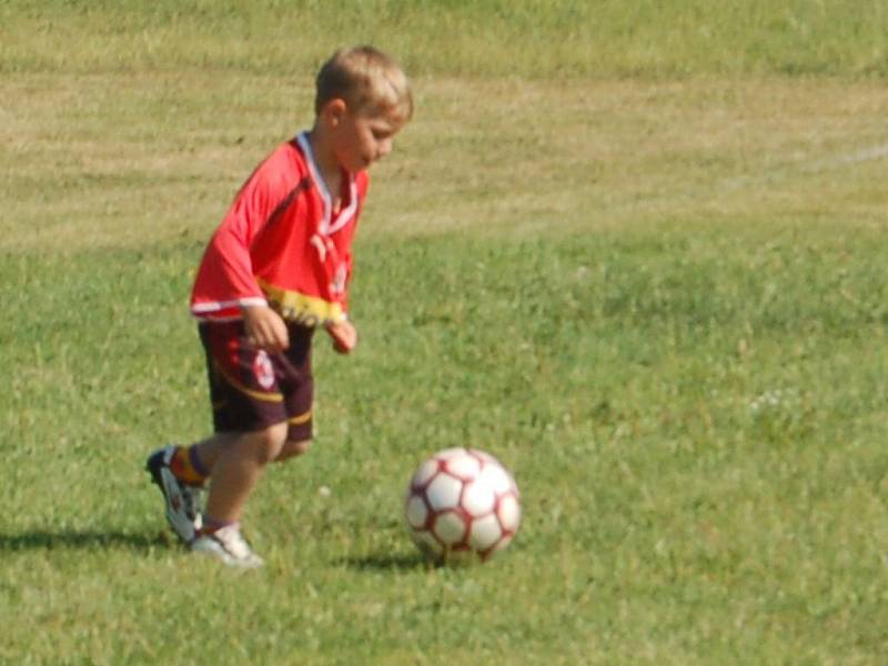 Přátelské setkání malých hokejistů S. Stráže a výběru firmy Eisman.