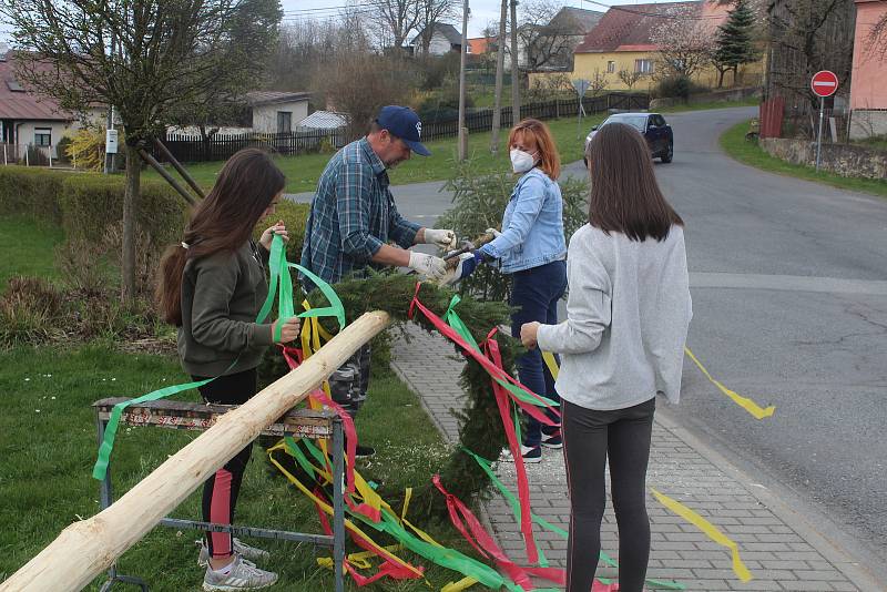 Stavění a zdobení májky v Lomu u Tachova a ve Studánce.