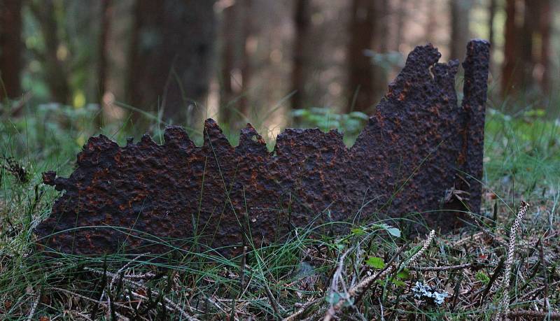 Snímky ze Zlatého Potoka a jeho blízkého okolí. V osadě se konal i Den Českého lesa nebo výprava k Hedvičině pile, v zimě se zde koná přeshraniční běh na lyžích.