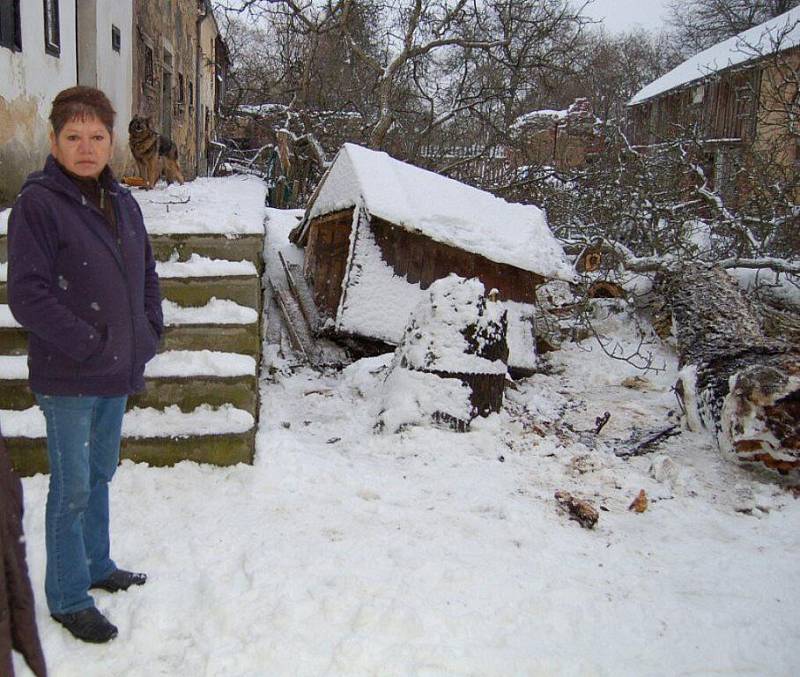 BOŽÍ DOPUŠTĚNÍ. Takhle to vypadlo na zahradě Miluše Cvetanové (na snímku), kde byla i bouda. Strom z ní odklízeli nejdříve lestkovští hasiči. Na pomoc pak dorazila i jednotka z Tachova.