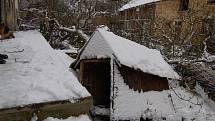 BOŽÍ DOPUŠTĚNÍ. Takhle to vypadlo na zahradě Miluše Cvetanové (na snímku), kde byla i bouda. Strom z ní odklízeli nejdříve lestkovští hasiči. Na pomoc pak dorazila i jednotka z Tachova.