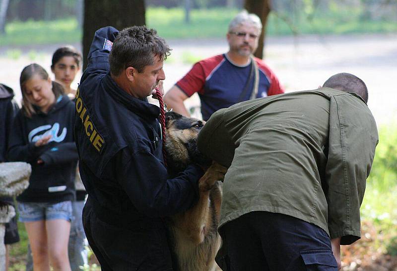 Hasiči předvedli dětem záchranu osoby z druhého patra hořícího zámku v Chodové Plané a policie ukázala výcvik psů.