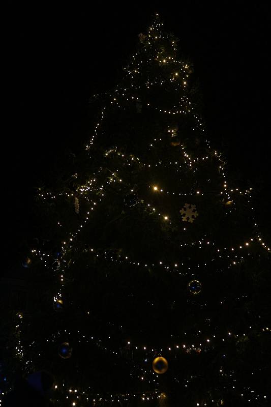 Slavnostní rozsvícení vánočního stromu v Plané.