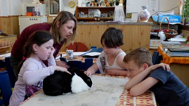 Fotografie ze soutěže Mladý chovatel ve Stříbře.