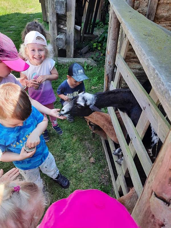 Děti se těšily do Pohádkového statku, krmily zvířata a hrály si