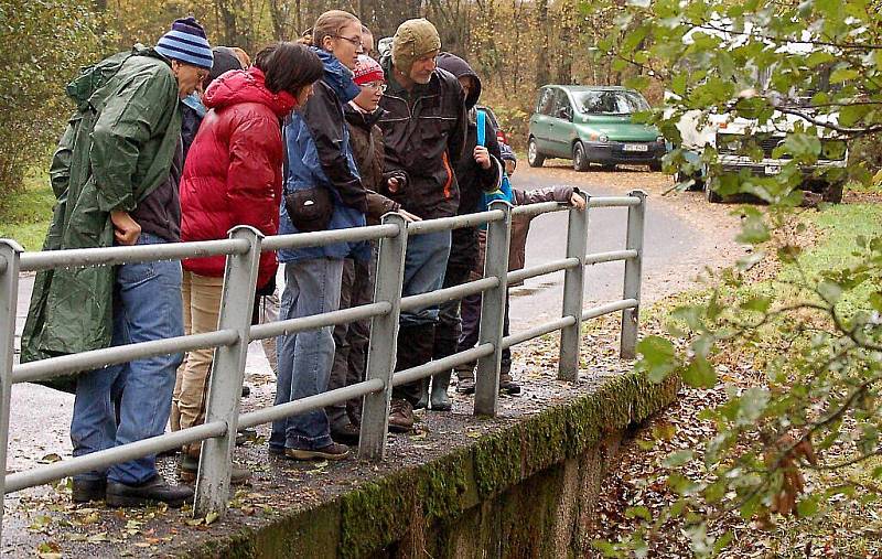 Účastníci poznávací výpravy se dověděli, kde žijí bobři v okolí Rozvadova. 