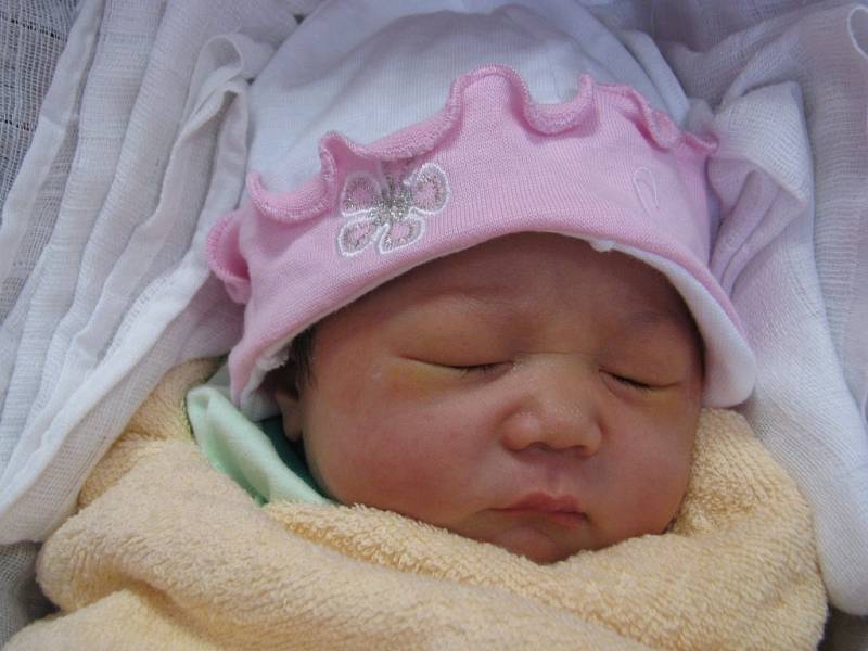 Van Anh Bui (3,10 kg, 49 cm) se narodila 5. 10. v 19:05 ve FN v Plzni jako první miminko mamince Hien Phan Thai a tatínkovi Giang Bui Van z Rozvadova.