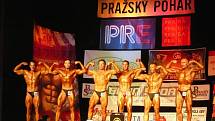 Mezinárodní soutěže v body fitness v pražském Branickém divadle se účastnila tachovská Jana Palečková. Podívejte se na  záznam části soutěže mužů