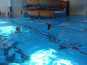 Plavecké závody dětských štafet se konaly v bazénu na Přimdě.