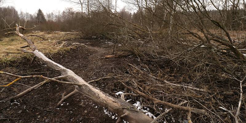 Předjaří v Českém lese: na vrcholcích sníh a turistické cíle bez lidí.