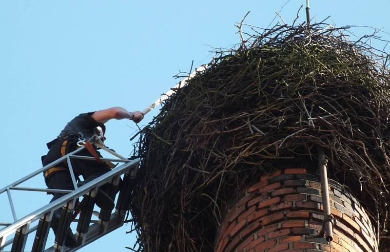 Přetížené hnízdo čápa bílého na komíně v bývalém areálu skladu zeleniny u náměstí museli ochránci zvířat zrekonstruovat. Hnízdo bylo obrovské.