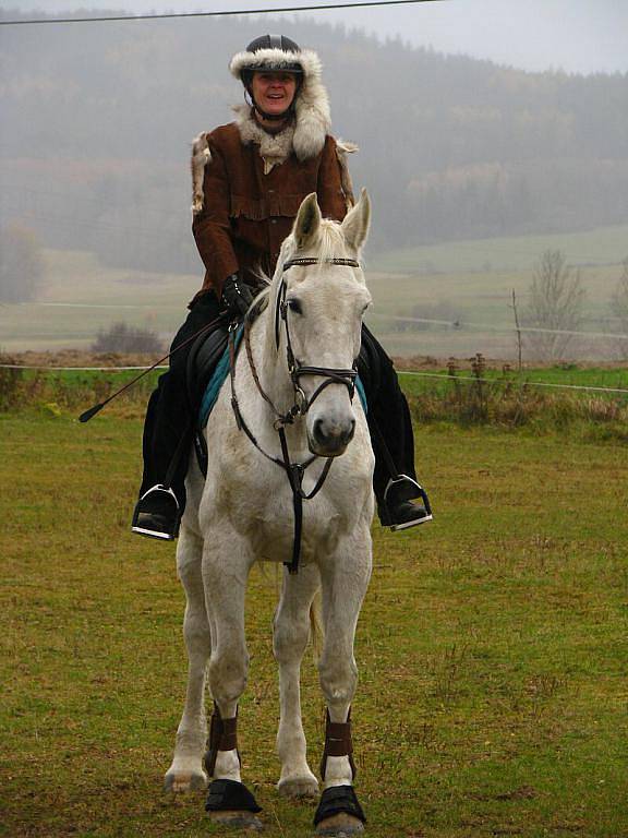 Psi vyrazili za liškou