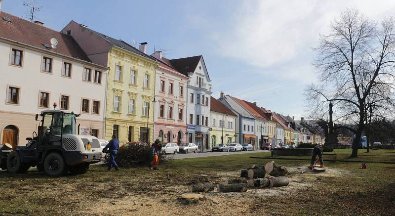 Náměstí Svobody v Plané. Kácení stromů v jeho západní části letos na jaře.