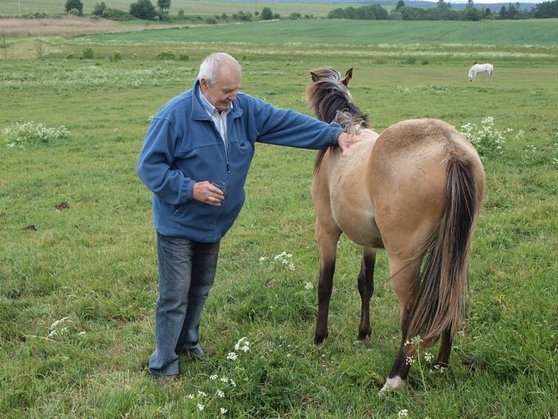 Helena Fraitová ze Stříbra přijela do Starého Sedla pokřtít hřebečka Bouřňáka.