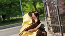 Zmrzliny v Tachově.
