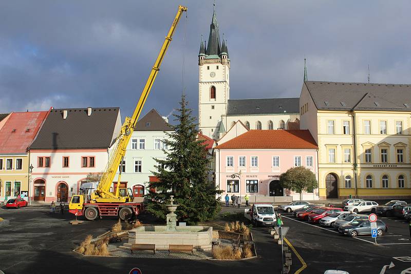 Usazení vánočního stromu na náměstí.