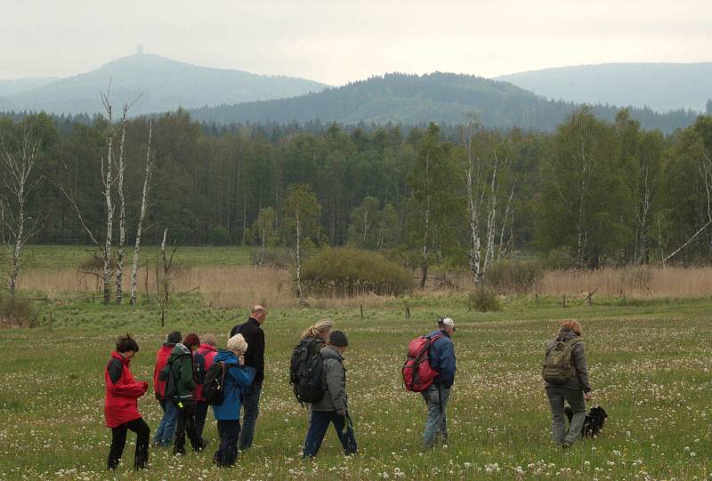 Botanik představil například vzácný prstnatec májový, masožravky: rosnatku okrouhlolistou a tučnici bahenní, ale také kokořík, konvalinky, medvědí česnek, pitulník, svízelku chlupatou a jedovaté vraní oko.