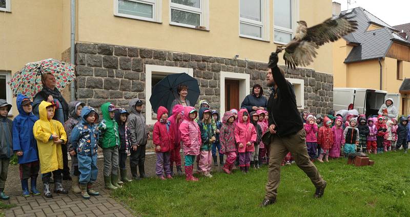 Letové ukázky dravců v mateřince Prokopa Velikého v Tachově.