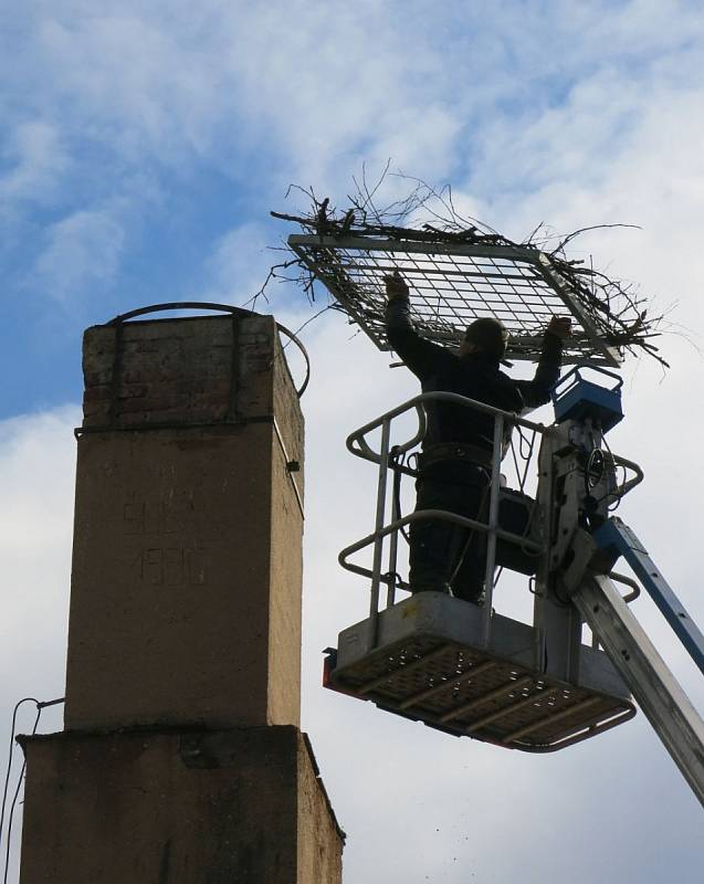 Instalace nové hnízdní podložky na komíně v Chodové Plané. 