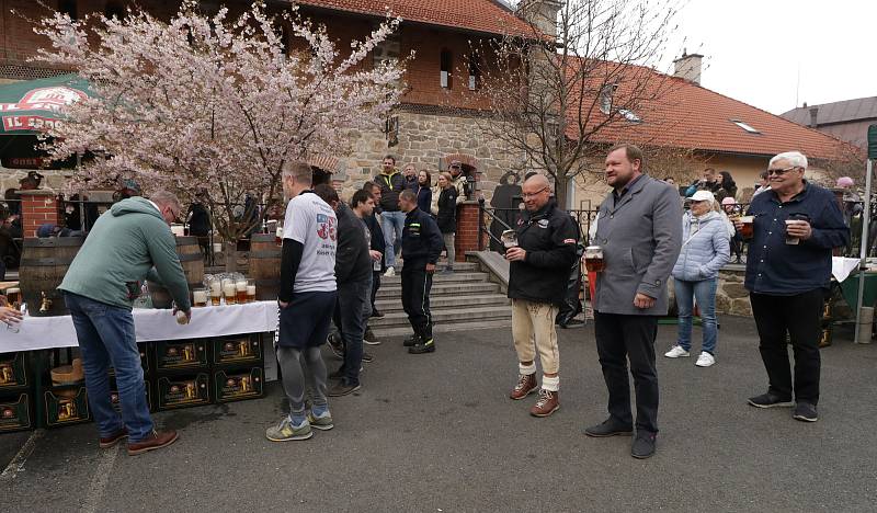 Dubový pivní sud kuliči dokouleli do Chodové Plané, začala pivní sezóna