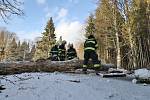 Tachovští hasiči odstranili větrem pokácený strom na silnici mezi Lesnou a Starou Knížecí Hutí.