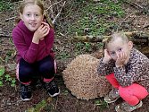 Obrovský kotrč nalezla při procházce Šumavou paní Dana Maršálková z Benešovic. S obří houbou vyfotila své vnučky, které ji doprovázely.