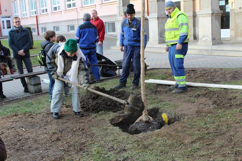 Tachovští turisté zasadili v Hornické ulici strom k výročí KČT Tachov.