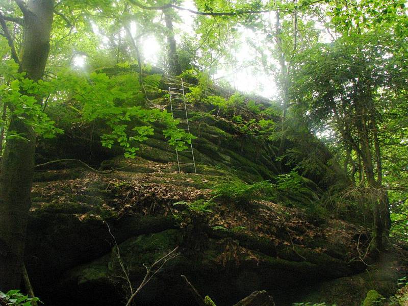 Lokalita Šelmberk se stala novou přírodní památkou v Českém lese