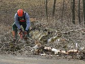 Pracovníci Správy a údržby silnic Plzeňského kraje prořezávají stromořadí podél silnice mezi Chodským Újezdem a Zadním Chodovem. Některé stromy bylo nutné i pokácet.