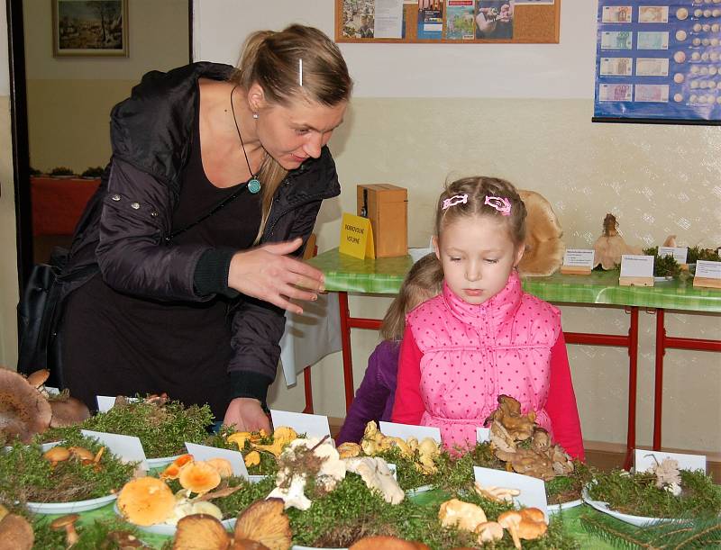 Výstava hub na tachovském gymnáziu