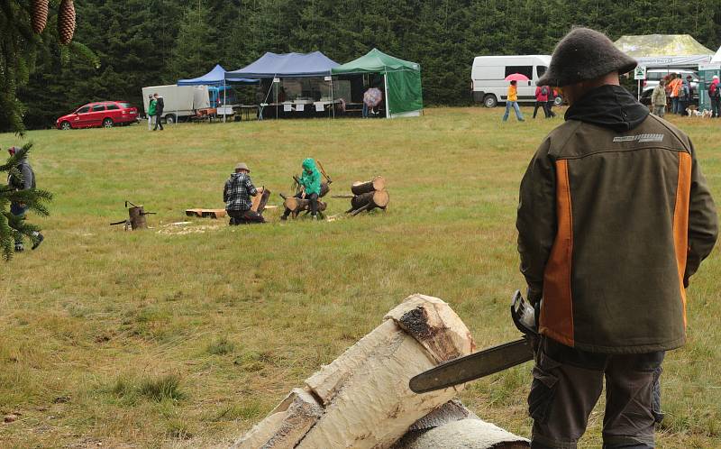 Snímky ze Zlatého Potoka a jeho blízkého okolí. V osadě se konal i Den Českého lesa nebo výprava k Hedvičině pile, v zimě se zde koná přeshraniční běh na lyžích.