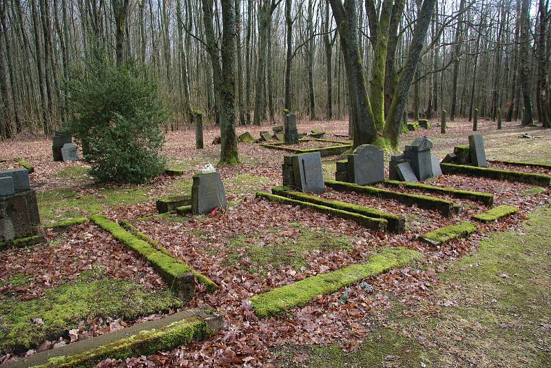 Broumovský hřbitov v současnosti a při odstraňování náletové zeleně.